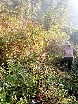 hera-00 online show from December 19, 2025, 1:09 am