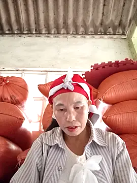 me-cute online show from November 17, 2025, 2:15 am