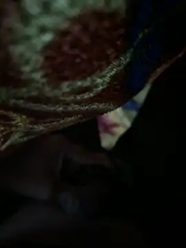 1995Pk online show from September 29, 2025, 6:24 pm