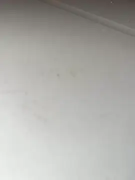 Bandidasexy22 online show from October 24, 2025, 2:27 pm