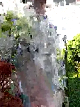 AlphaAlterX online show from December 20, 2025, 12:30 pm