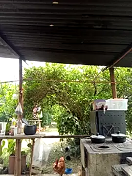 AlphaAlterX online show from March 11, 2026, 6:13 pm