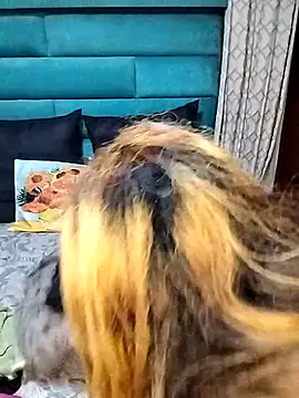 Snapshot of hemilynthomas2467 chatting on January 8, 2026, 7:42 pm hemilynthomas2467 online show from January 8, 2026, 7:42 pm