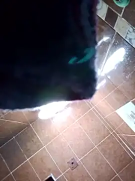 aispuro8505 online show from November 28, 2025, 7:08 am