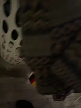 LanaAce719 online show from December 18, 2025, 5:34 am