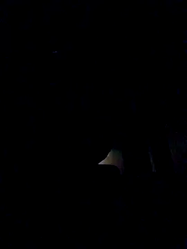 leehank01 online show from November 3, 2025, 3:26 pm