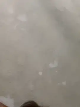 Doggy8668 online show from March 3, 2026, 7:43 pm