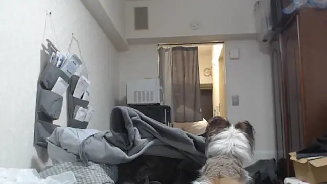 raterate555 online show from March 5, 2026, 1:19 pm