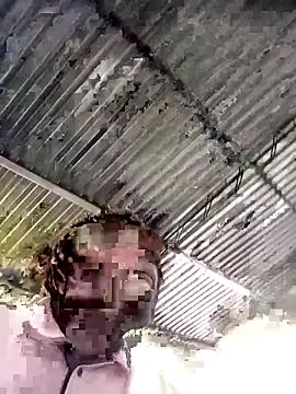 sharpei online show from February 19, 2026, 6:49 pm