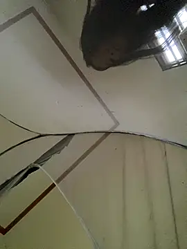 viluna online show from November 2, 2025, 5:12 am