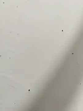 Qksbzozsbsks online show from November 3, 2025, 10:52 am