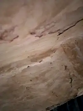 Sexy hot66 online show from September 16, 2025, 12:55 am