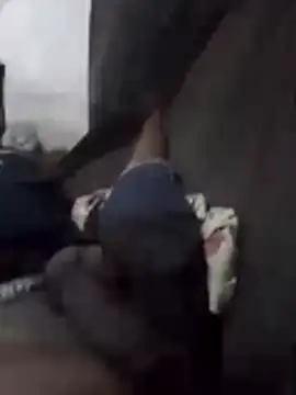 pauzao23vm online show from March 17, 2026, 3:31 am