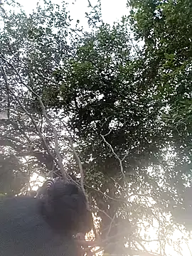 Snapshot of Sapna_cutt chatting on November 28, 2025, 11:10 am Sapna cutt online show from November 28, 2025, 11:10 am