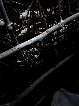 Snapshot of Sapna_cutt chatting on October 19, 2025, 3:37 pm Sapna cutt online show from October 19, 2025, 3:37 pm