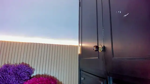 Alana 333 online show from December 17, 2025, 11:59 am