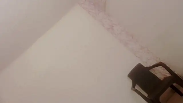 merlinacandy online show from November 9, 2025, 9:52 pm