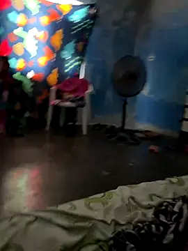 FromVnz online show from November 19, 2025, 12:49 pm