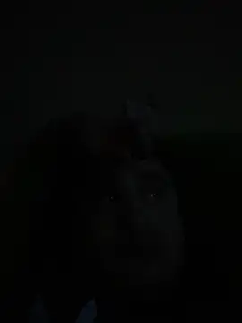 Snapshot of whitsblack chatting on November 3, 2025, 11:52 pm whitsblack online show from November 3, 2025, 11:52 pm