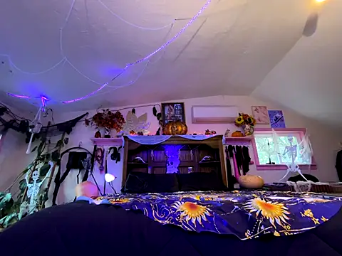 kinkycanner online show from November 6, 2025, 12:03 am