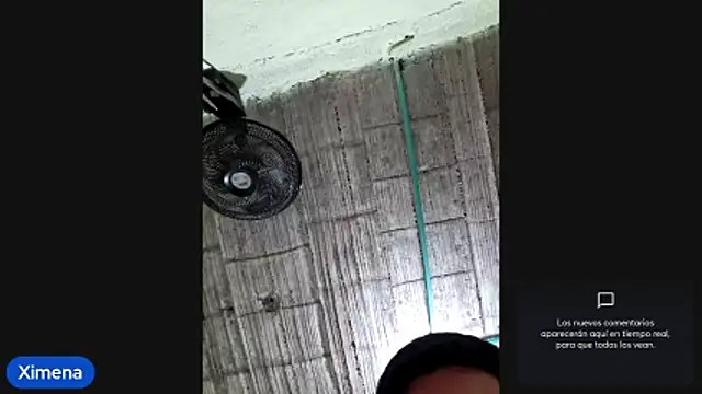 Cat Hot Party online show from November 4, 2025, 2:37 am