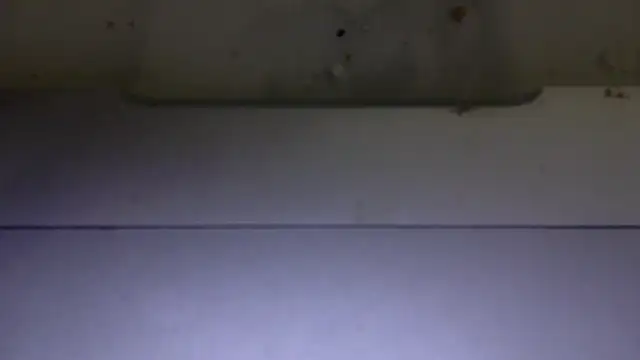 Snapshot of edger4lif3 chatting on November 15, 2025, 6:56 pm edger4lif3 online show from November 15, 2025, 6:56 pm