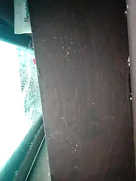 WildPayal online show from November 14, 2025, 7:56 am