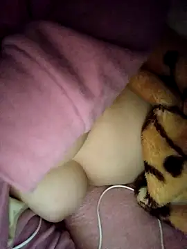 Snapshot of CHahed-5 chatting on November 23, 2025, 3:38 am CHahed-5 online show from November 23, 2025, 3:38 am