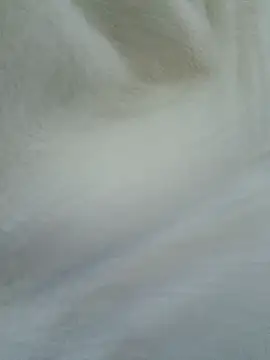 novinho100795 online show from December 19, 2025, 12:03 am