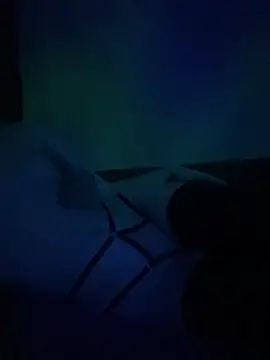 Snapshot of gjollyros chatting on February 18, 2026, 8:16 pm gjollyros online show from February 18, 2026, 8:16 pm