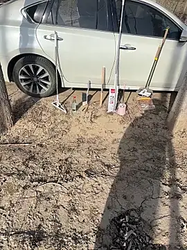 Fengbaby-555 online show from February 3, 2026, 6:22 am