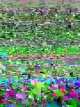 Snapshot of luzmelzinha chatting on May 2, 2026, 5:34 am luzmelzinha online show from May 2, 2026, 5:34 am