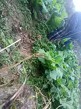 kemtuoi-sex online show from January 17, 2026, 10:30 am