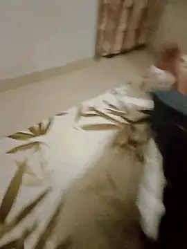 Famit025 online show from November 23, 2025, 2:27 pm