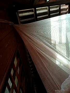 Snapshot of kata-00 chatting on January 18, 2026, 5:44 am kata-00 online show from January 18, 2026, 5:44 am