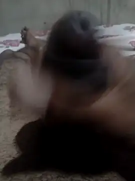 Tc777fun online show from November 22, 2025, 11:47 pm