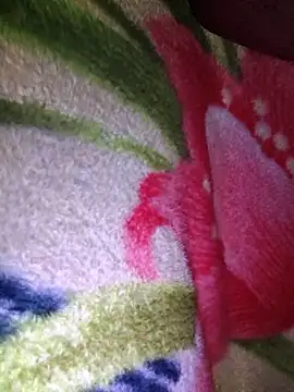 Snapshot of Chanderi19 chatting on March 14, 2026, 6:58 pm Chanderi19 online show from March 14, 2026, 6:58 pm