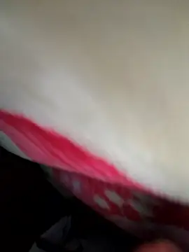 Snapshot of Chanderi19 chatting on April 15, 2026, 11:49 pm Chanderi19 online show from April 15, 2026, 11:49 pm