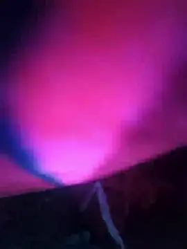 Snapshot of Chanderi19 chatting on December 13, 2025, 8:04 pm Chanderi19 online show from December 13, 2025, 8:04 pm