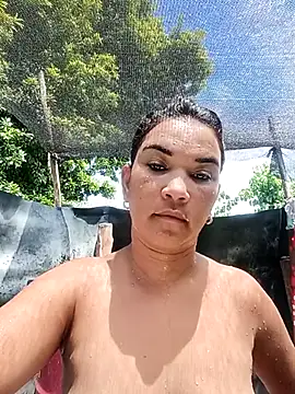  gaviota  online show from September 21, 2025, 4:01 pm