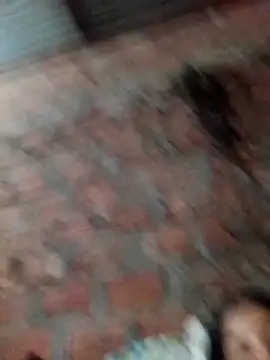  gaviota  online show from November 14, 2025, 1:31 am