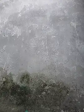 theindianjason online show from November 3, 2025, 9:24 am