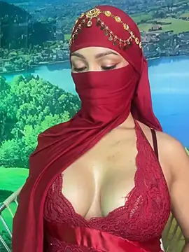 Snapshot of _hafsa_ chatting on November 3, 2025, 11:25 am hafsa online show from November 3, 2025, 11:25 am