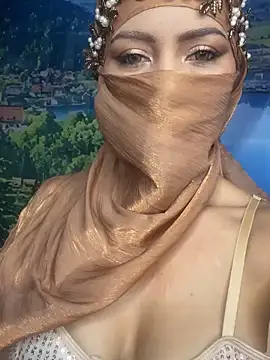 Snapshot of _hafsa_ chatting on November 7, 2025, 11:15 am hafsa online show from November 7, 2025, 11:15 am