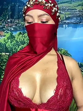 Snapshot of _hafsa_ chatting on November 13, 2025, 11:25 am hafsa online show from November 13, 2025, 11:25 am