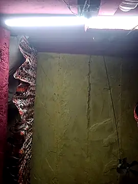 Suman ji1 online show from November 25, 2025, 1:44 pm