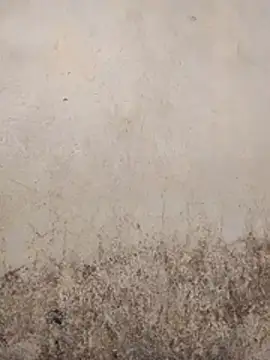 Snapshot of SSexykute3456 chatting on December 23, 2025, 6:23 am SSexykute3456 online show from December 23, 2025, 6:23 am