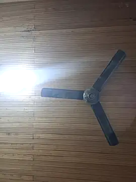 Snapshot of Chloe_y_Dante chatting on November 24, 2025, 5:07 am Chloe y Dante online show from November 24, 2025, 5:07 am