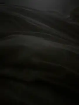 dlasian2026 online show from November 4, 2025, 4:55 pm