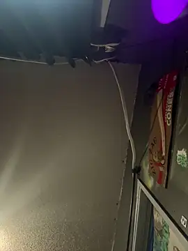 busnfatnutsLildee online show from April 7, 2026, 9:00 am